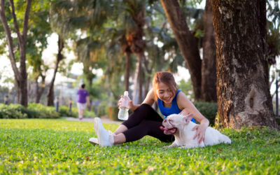 10 Fun Things To Do With Your Dog in Singapore