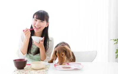 List of Human Foods Dogs Can and Can’t Eat