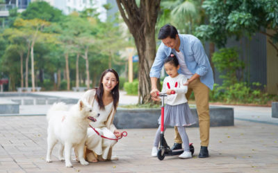 Dog Runs in Singapore That Will Make Your Dog a Happy Pup